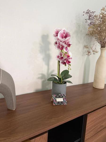 Bungalow House untuk Disewa di Bemban (Melaka) - Aaden Lim - Interior - PropertyGuru.com.my
