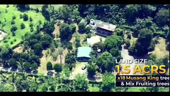 Tanah Pertanian untuk Dijual di Kampung Pantai (Pantai) - Toh Kai Seng - PropertyGuru.com.my