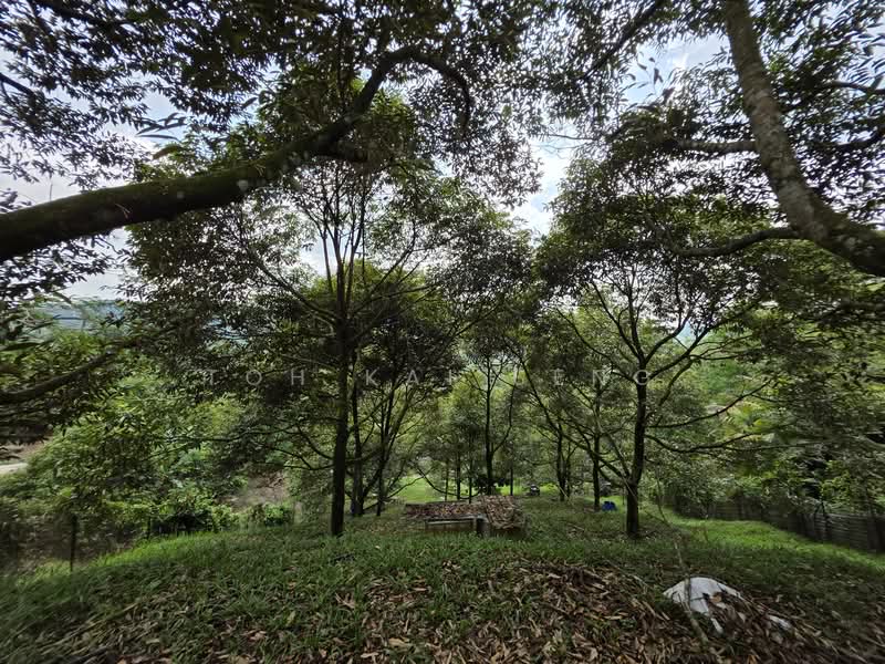 Tanah Pertanian untuk Dijual di Kampung Pantai (Pantai) - Toh Kai Seng - Exterior - PropertyGuru.com.my
