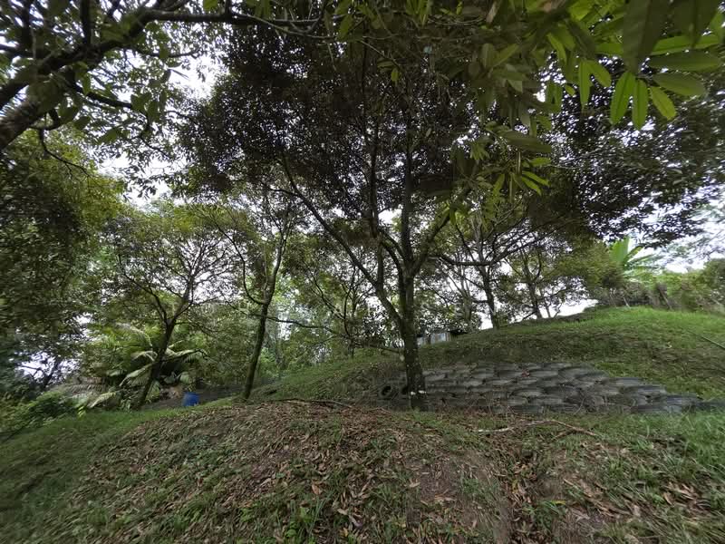 Tanah Pertanian untuk Dijual di Kampung Pantai (Pantai) - Toh Kai Seng - Exterior - PropertyGuru.com.my