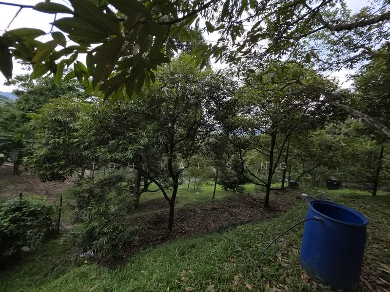 Tanah Pertanian untuk Dijual di Kampung Pantai (Pantai) - Toh Kai Seng - Exterior - PropertyGuru.com.my