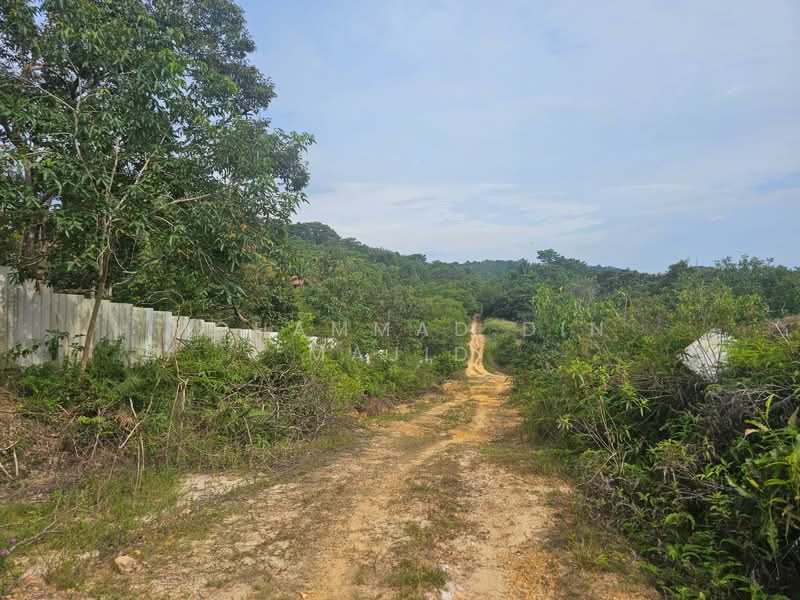 Tanah Pertanian untuk Dijual di Kampung Bukit Cherakah (Shah Alam) - Mohammad Din Majid - PropertyGuru.com.my