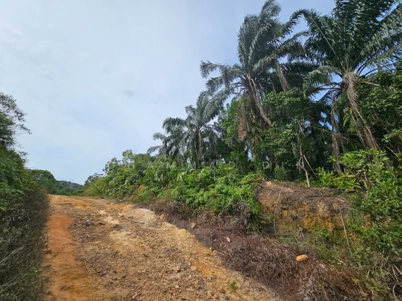 Tanah Pertanian untuk Dijual di Kampung Bukit Cherakah (Shah Alam) - Mohammad Din Majid - PropertyGuru.com.my