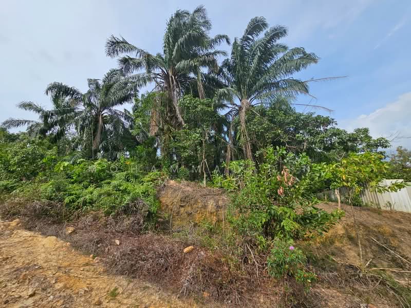 Tanah Pertanian untuk Dijual di Kampung Bukit Cherakah (Shah Alam) - Mohammad Din Majid - PropertyGuru.com.my