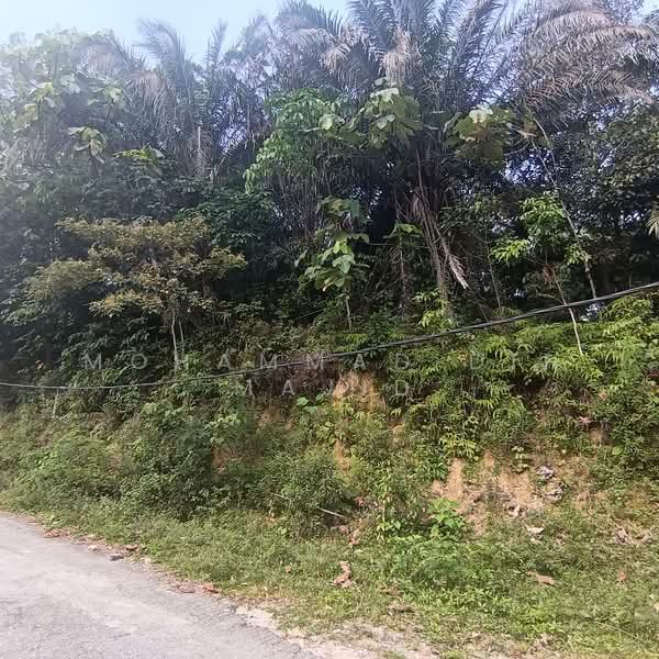 Tanah Pertanian untuk Dijual di Kuang (Selangor) - Mohammad Din Majid - PropertyGuru.com.my