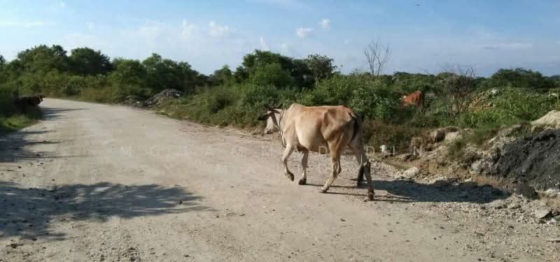 Agricultural Land for Sale in Bukit Beruntung (Selangor) - Mohammad Din Majid - Exterior - PropertyGuru.com.my