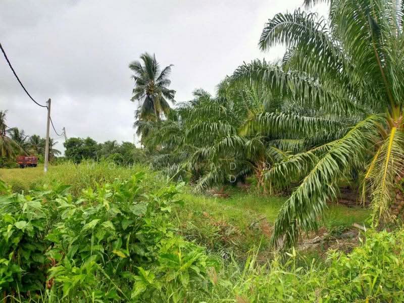 Tanah Pertanian untuk Dijual di Assam Jawa (Kuala Selangor) - Mohammad Din Majid - PropertyGuru.com.my