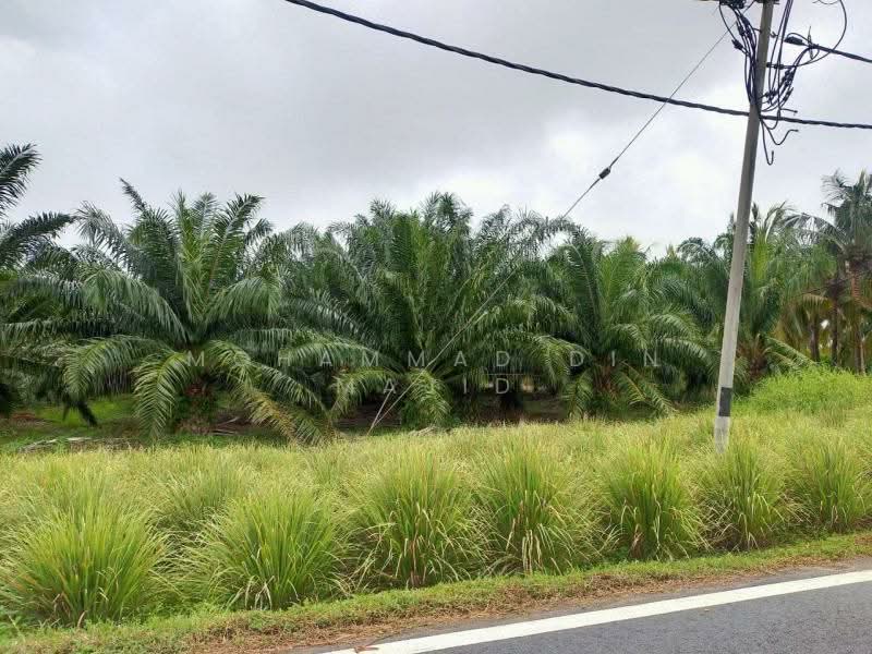Tanah Pertanian untuk Dijual di Assam Jawa (Kuala Selangor) - Mohammad Din Majid - PropertyGuru.com.my