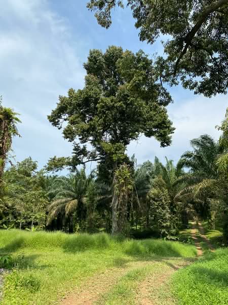 Agricultural Land for Sale in Senai (Kulai) - John Choo - Exterior - PropertyGuru.com.my