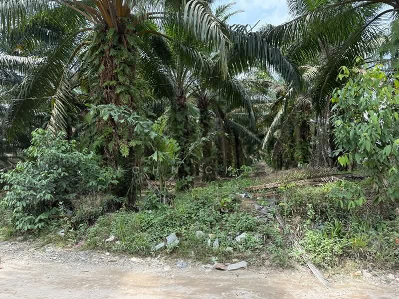 Tanah Perindustrian untuk Dijual di Kampung Baru Ban Foo (Ulu Tiram) - John Choo - PropertyGuru.com.my