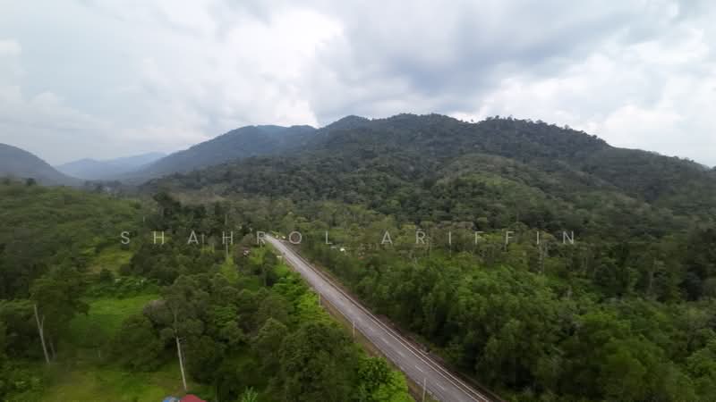 For Sale - Titi