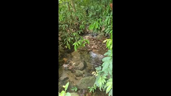 Tanah Pertanian untuk Dijual di Kampung Baru Liman Kati (Kuala Kangsar) - Lee Muzi - PropertyGuru.com.my