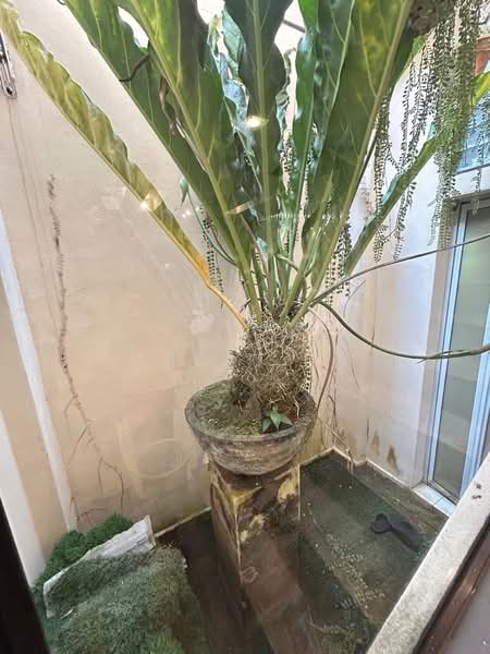 Link Bungalow for Sale in Ipoh (Perak) - KEAT . - PropertyGuru.com.my