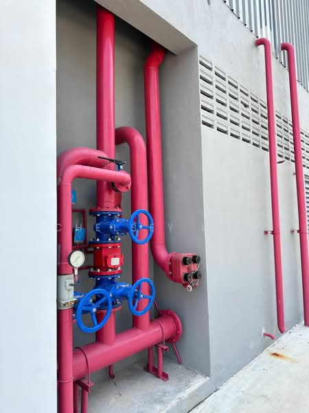 Semi-D Factory for Rent in Telok Panglima Garang (Selangor) - Chelsey Loh - Exterior - PropertyGuru.com.my