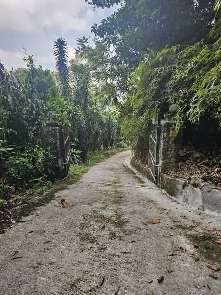 Hartanah Yang Lain untuk Dijual di Ayer Itam (Penang) - ST Lim - Walkway to the Land - PropertyGuru.com.my