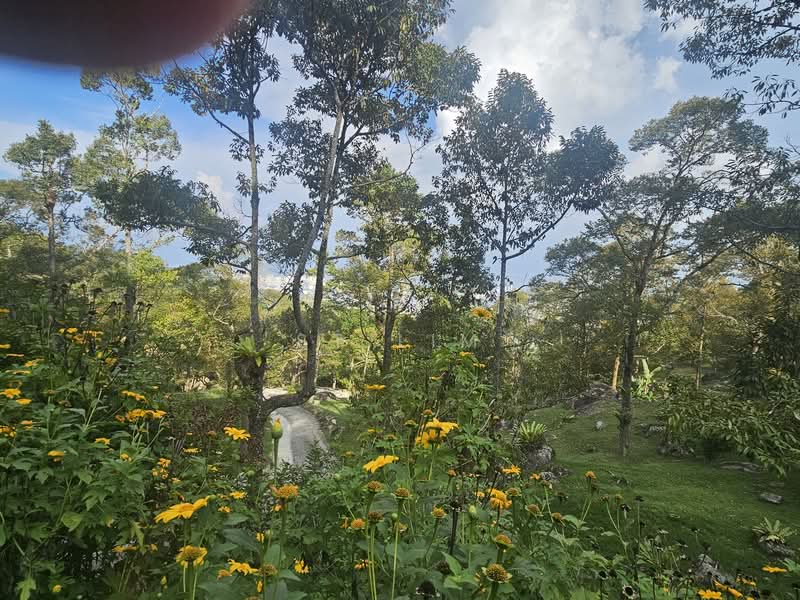 Other Property for Sale in Ayer Itam (Penang) - ST Lim - Exterior - PropertyGuru.com.my