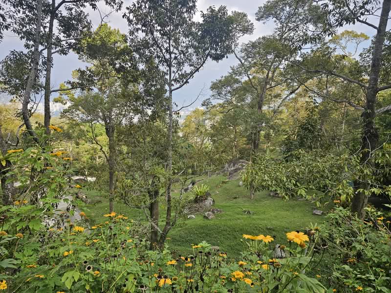 Hartanah Yang Lain untuk Dijual di Ayer Itam (Penang) - ST Lim - Garden - PropertyGuru.com.my