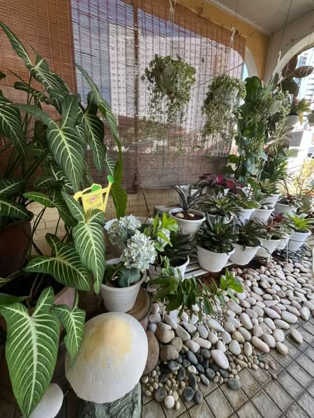 1-storey Terraced House for Sale in Pandan Jaya (Ampang) - Yatt Husin - Balcony - PropertyGuru.com.my