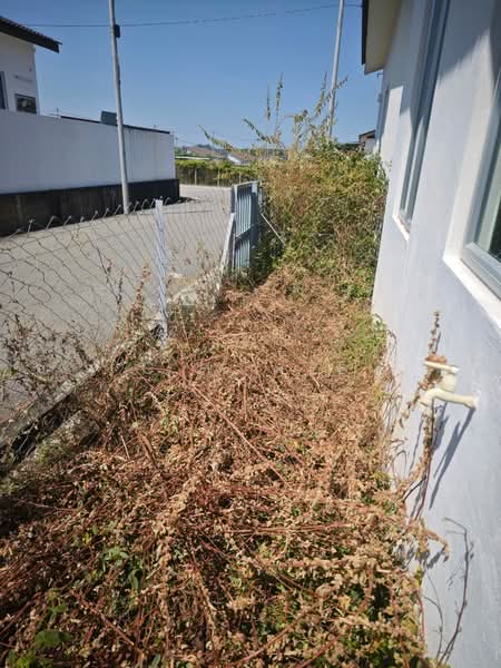 Rumah Teres 1 Tingkat untuk Dijual di Sungai Petani (Kedah) - C.H. Lee - Exterior - PropertyGuru.com.my