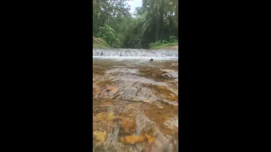 Tanah Pertanian untuk Dijual di Batang Kali (Selangor) - Iz Hakim - PropertyGuru.com.my