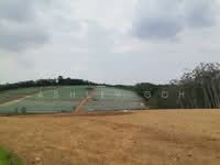 For Rent - 10 acres Land Kota Tinggi