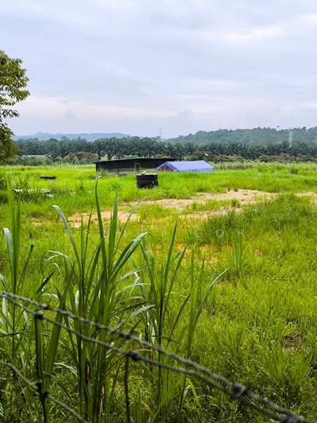 Tanah Pertanian untuk Disewa di Kota Tinggi (Johor) - Ashley Goh - Exterior - PropertyGuru.com.my
