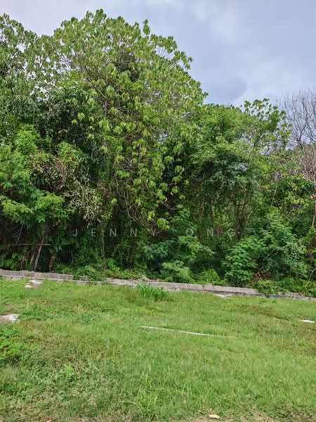 Industrial Land for Sale in Bukit Mertajam (Penang) - Jenny Ong - Exterior - PropertyGuru.com.my