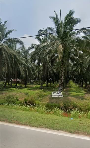 Agricultural Land for Sale in Taman Malawati (Kuala Selangor) - Yap Chew Ying - Exterior - PropertyGuru.com.my