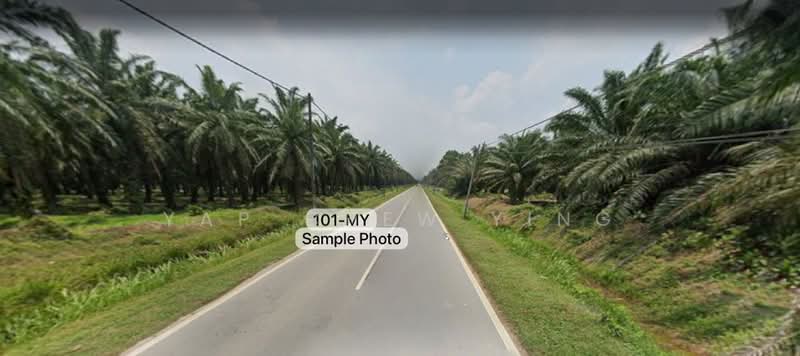 Agricultural Land for Sale in Taman Malawati (Kuala Selangor) - Yap Chew Ying - PropertyGuru.com.my