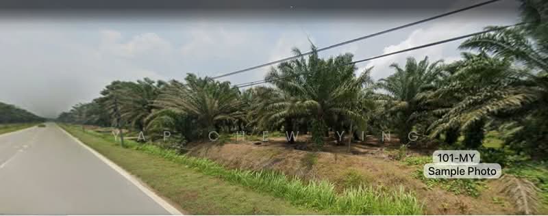 Agricultural Land for Sale in Taman Malawati (Kuala Selangor) - Yap Chew Ying - PropertyGuru.com.my
