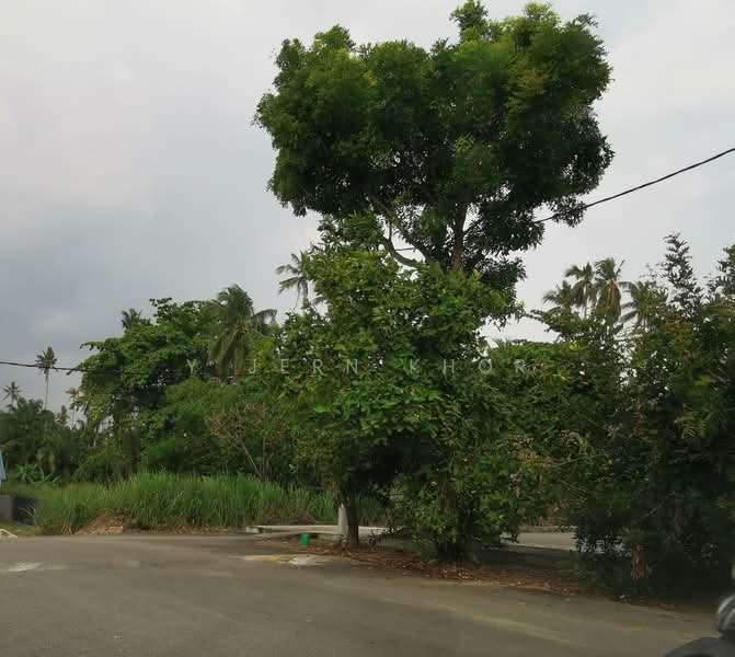 Tanah Pertanian untuk Dijual di Taman Permatang Tinggi (Bukit Mertajam) - Y Jern Khor - Exterior - PropertyGuru.com.my