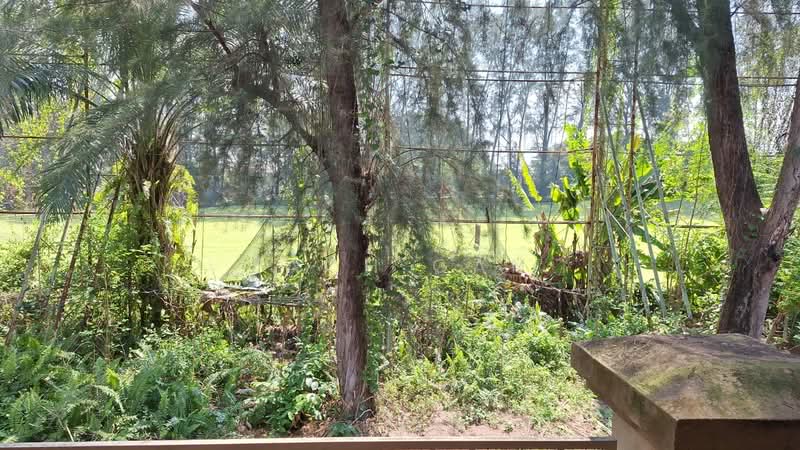 Semi-Detached House for Sale in Shah Alam (Selangor) - Zach Gan - Exterior - PropertyGuru.com.my