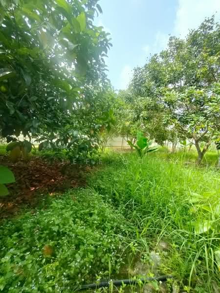 Semi-Detached House for Sale in Taman Aman Jaya (Bukit Mertajam) - Jeff Ooi - Garden - PropertyGuru.com.my