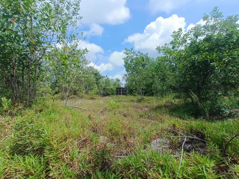 Tanah Perindustrian untuk Dijual di Rembia (Melaka) - Lawrance Lim - Exterior - PropertyGuru.com.my