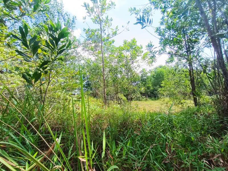 Tanah Perindustrian untuk Dijual di Rembia (Melaka) - Lawrance Lim - Garden - PropertyGuru.com.my