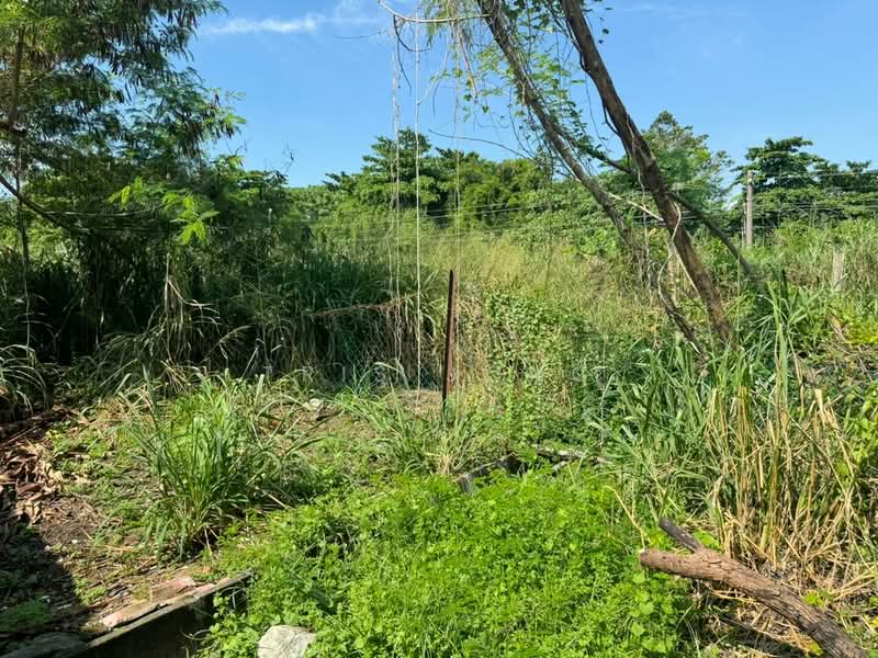 Rumah Banglo untuk Dijual di Rawang (Selangor) - Tris Jong - Exterior - PropertyGuru.com.my