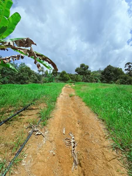 For Sale - Kampung Baru Liman Kati