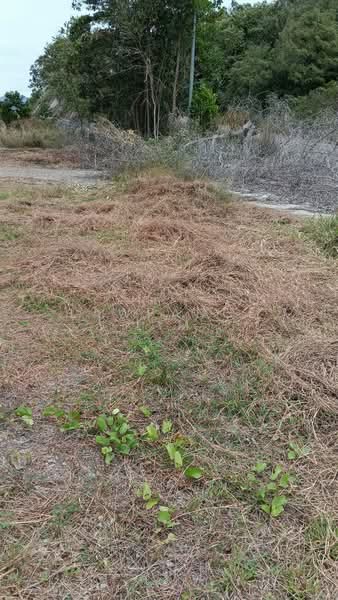 Tanah Perindustrian untuk Dijual di Alor Gajah (Melaka) - Lawrance Lim - Exterior - PropertyGuru.com.my