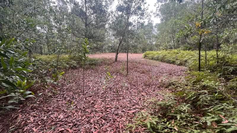 Commercial Bungalow for Sale in Cahaya Spk (Shah Alam) - Mohd Nazri Alias - Exterior - PropertyGuru.com.my