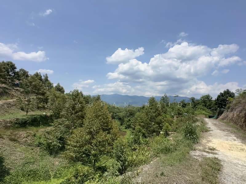 Agricultural Land for Sale in Kampung Pantai (Pantai) - Visaghan Naidu - Exterior - PropertyGuru.com.my
