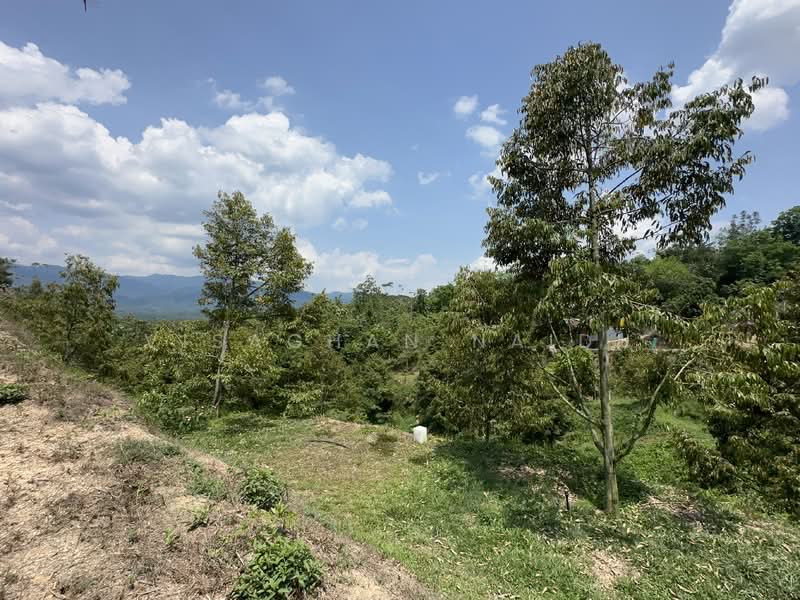 Agricultural Land for Sale in Kampung Pantai (Pantai) - Visaghan Naidu - Exterior - PropertyGuru.com.my