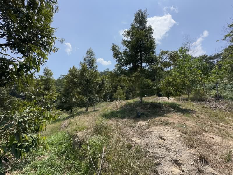 Agricultural Land for Sale in Kampung Pantai (Pantai) - Visaghan Naidu - Exterior - PropertyGuru.com.my