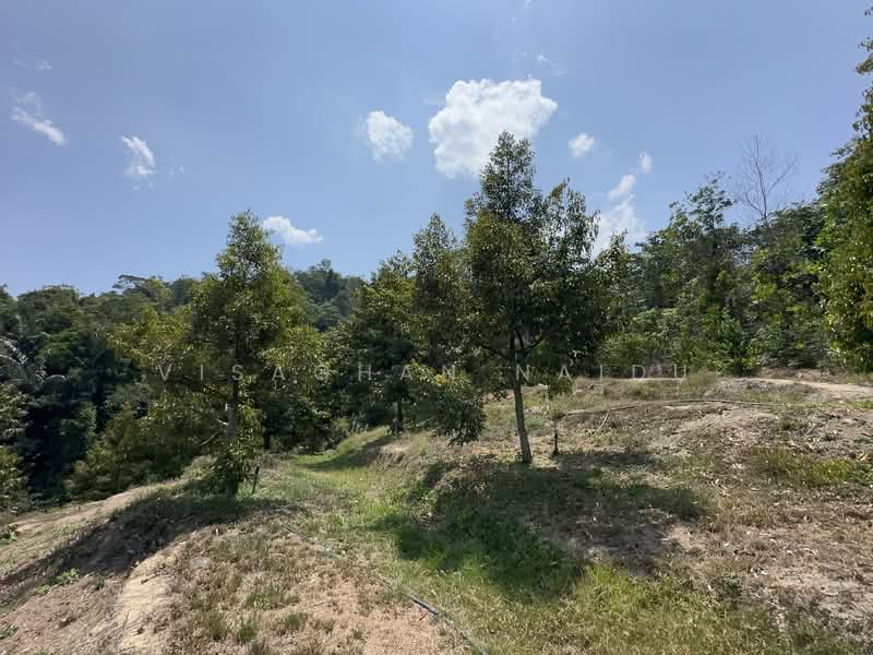 Agricultural Land for Sale in Kampung Pantai (Pantai) - Visaghan Naidu - PropertyGuru.com.my
