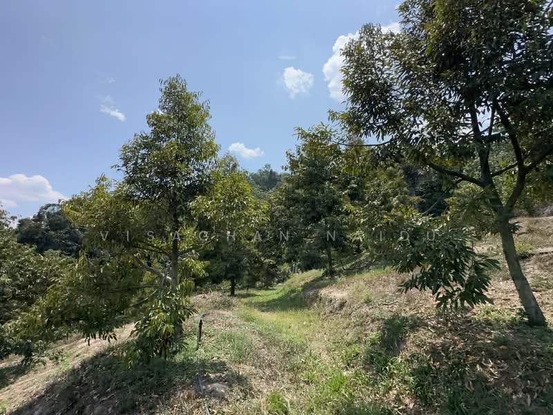 Agricultural Land for Sale in Kampung Pantai (Pantai) - Visaghan Naidu - Exterior - PropertyGuru.com.my