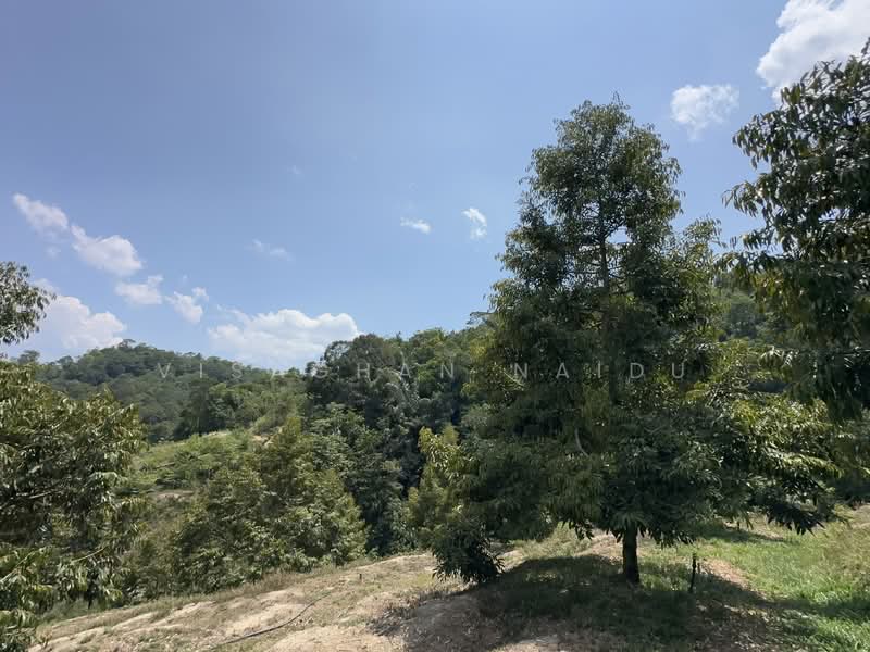 Agricultural Land for Sale in Kampung Pantai (Pantai) - Visaghan Naidu - Exterior - PropertyGuru.com.my