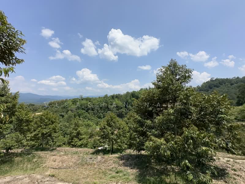 Agricultural Land for Sale in Kampung Pantai (Pantai) - Visaghan Naidu - Exterior - PropertyGuru.com.my