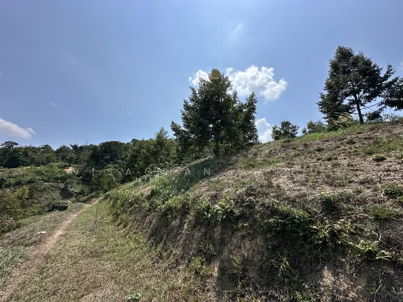 Agricultural Land for Sale in Kampung Pantai (Pantai) - Visaghan Naidu - Exterior - PropertyGuru.com.my