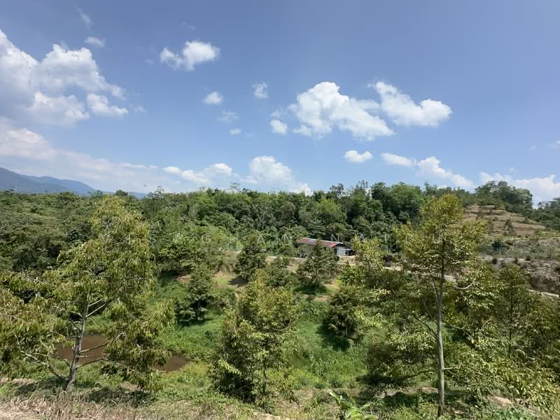 Agricultural Land for Sale in Kampung Pantai (Pantai) - Visaghan Naidu - Exterior - PropertyGuru.com.my
