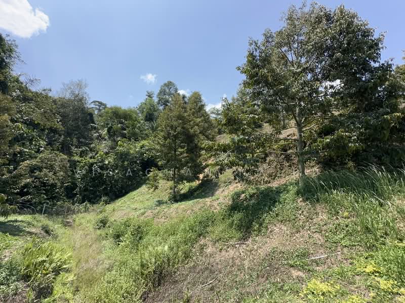 Agricultural Land for Sale in Kampung Pantai (Pantai) - Visaghan Naidu - Exterior - PropertyGuru.com.my