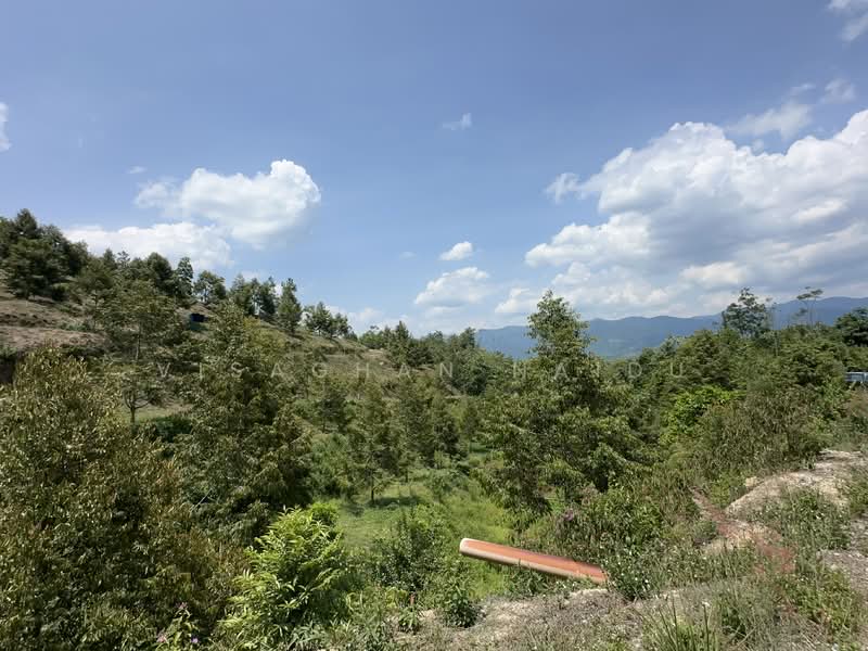 Agricultural Land for Sale in Kampung Pantai (Pantai) - Visaghan Naidu - Exterior - PropertyGuru.com.my